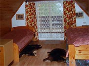 Chata u Růžičků - Kouty nad Desnou