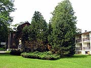 Hotel Eduard - zahrada