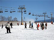 Ski are�l Avalanche