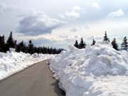 Poslední sníh cestou z Ovčárny