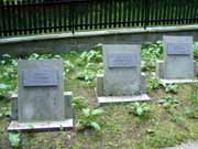 Lesní hřbitov Rudohoří - náhrobky