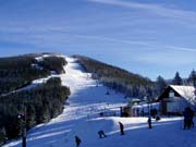 Ski are�l Bonera Ramzov�